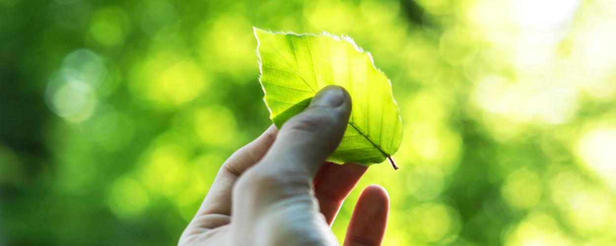 EU ESG Regulations: How Can Financial Institutions Overcome the Upcoming Challenges?