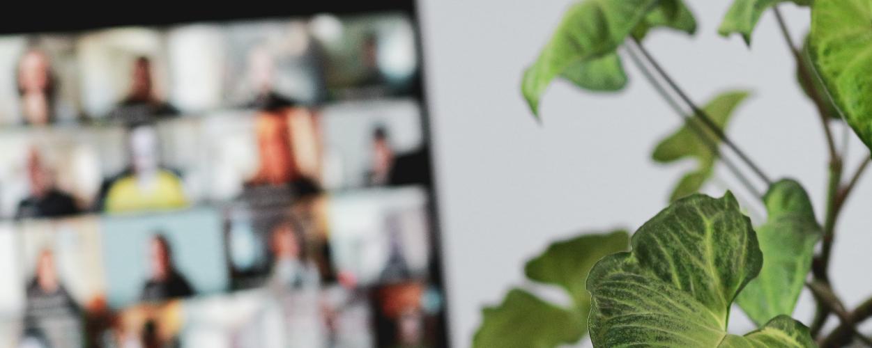 Is Working from Home Better for Our Climate?