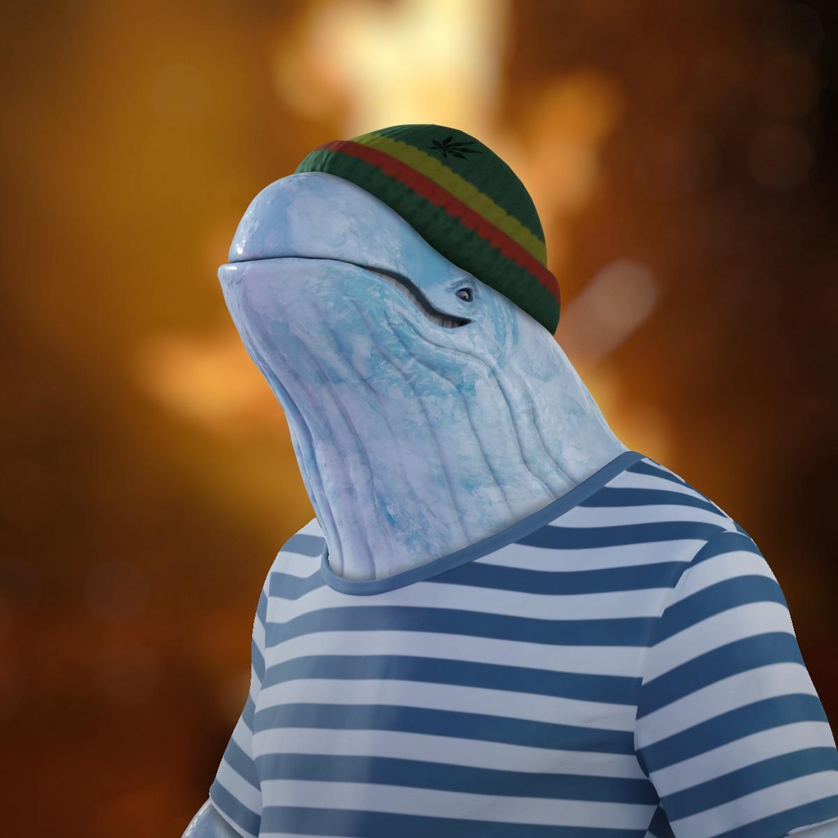 Mein allererstes NFT: Whales Nation #1429 aus der Whales Nation NFT Kollektion