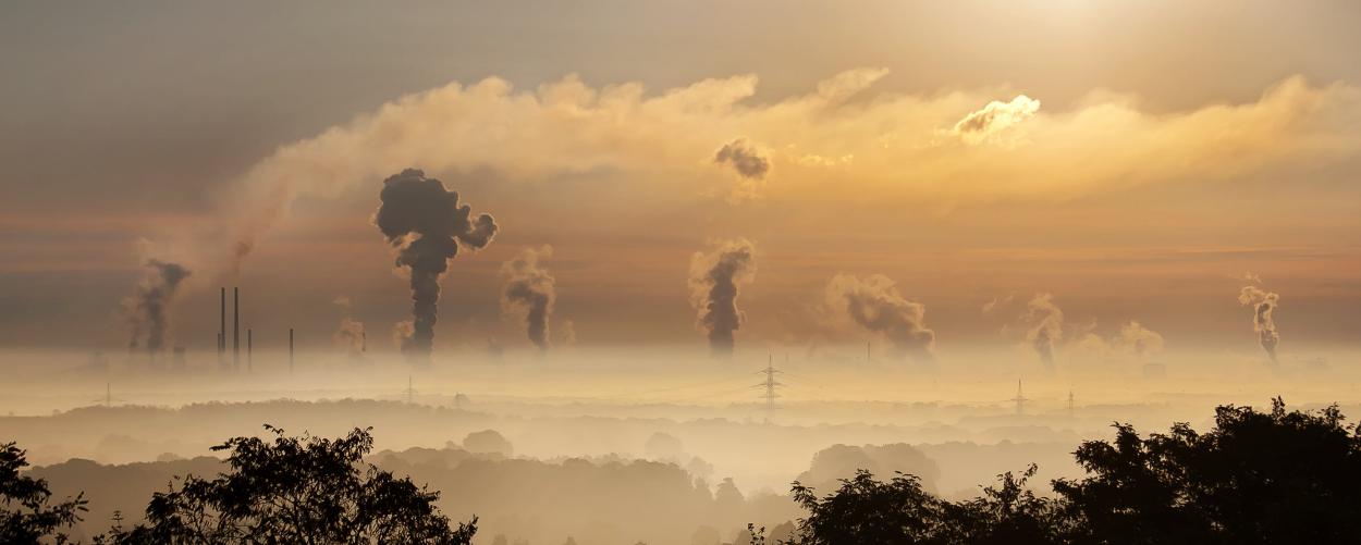 CO2 Offset: How It Works, What It Delivers – and What Has to Change