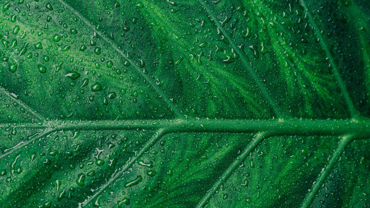 Sustainability 