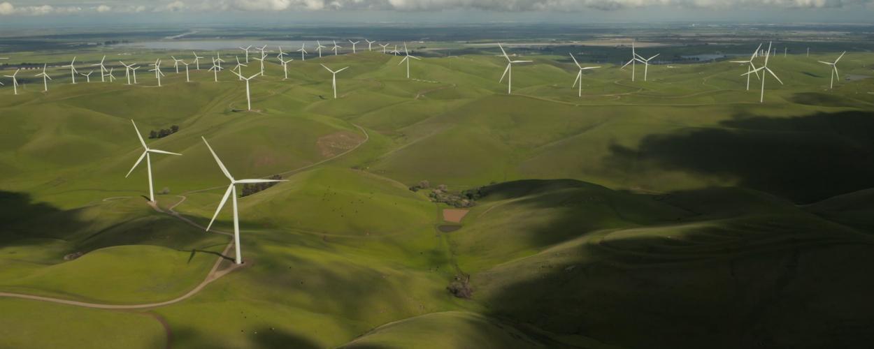 Capital Markets Embrace Sustainability: Three Factors That Drive Inflows Into ESG Assets