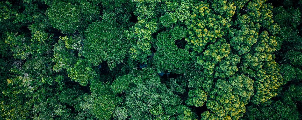 SIX lanza una nueva solución para medir la sostenibilidad de las pymes impulsada por Greenomy